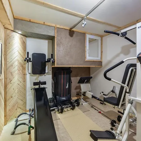 Apartman Altholz By Interhome Ramsau im Zillertal